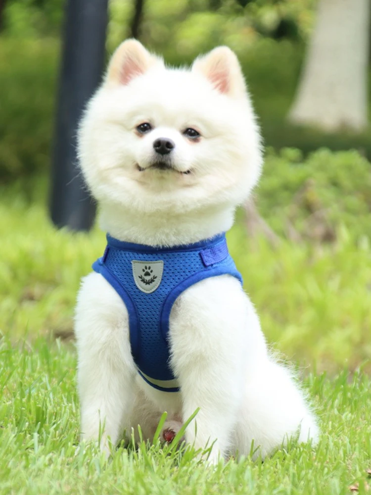 Vest-Style Dog Harness with Reflective Leash - Breathable No-Pull Pet Harness for Small and Medium Dogs