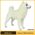 Shiba Inu