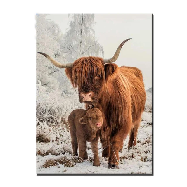 Baby Highland Cow - Animals 5D Diamond Painting - DiamondByNumbers