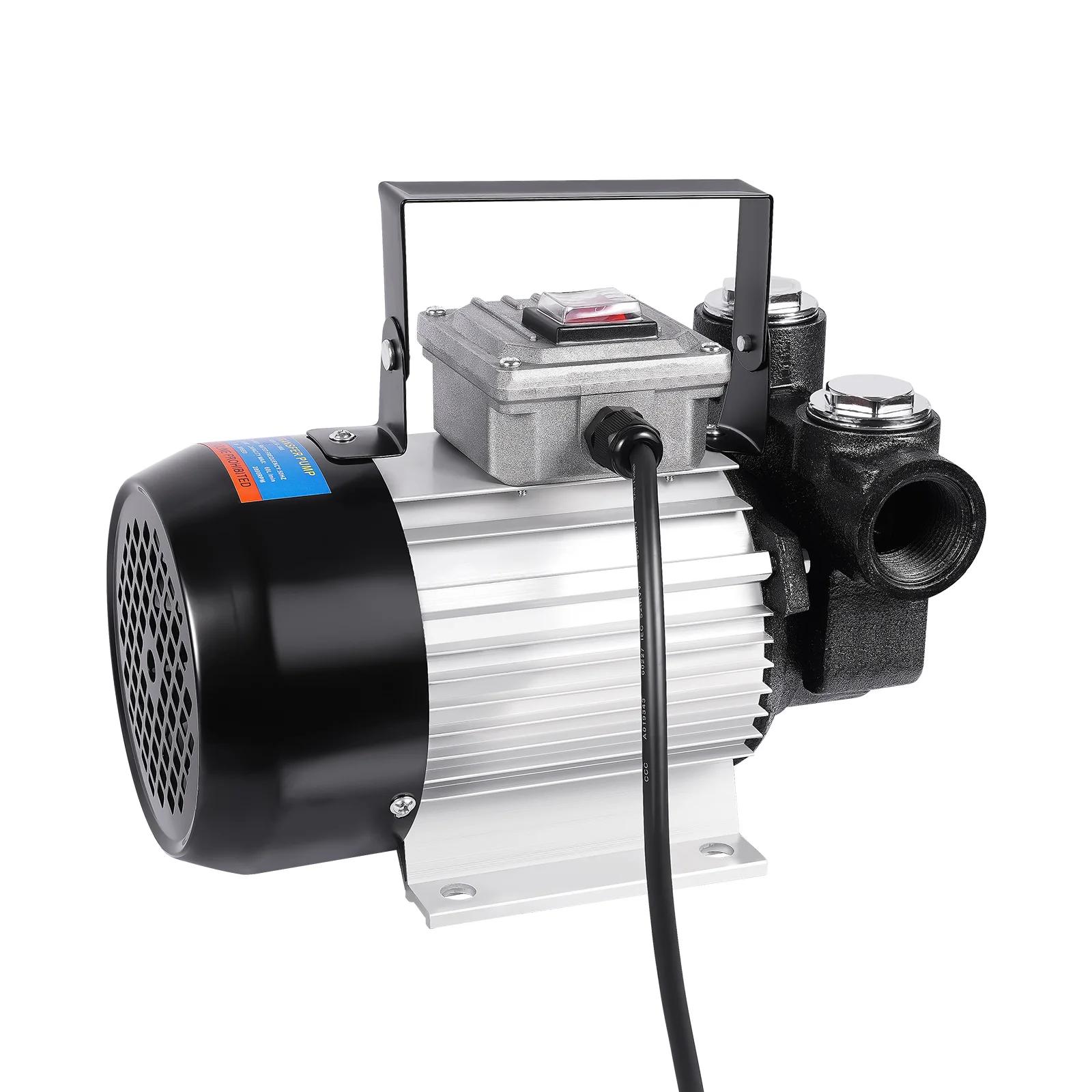 550W Dieselpumpe Dieselpumpen-Set Dieselkraftstoff-Transferpumpen-Kit – Detail 1