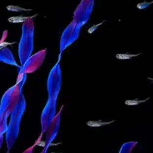 Aquarium Plant Realistic Appearance Hideout Decor Plastic Artificial Seaweed Fish Tank Decoration for Home