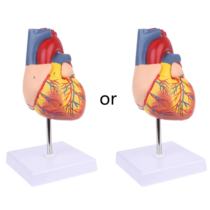  غ ΰ   غ Ƿ  