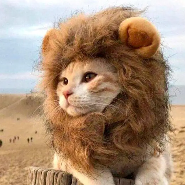 Cute Lion Headgear Cat Hat Mane Wig for Dogs and Cat Small Dog Pet Cat Decor Accessories Lion Wig Fancy Hair Cap Pet Supplies