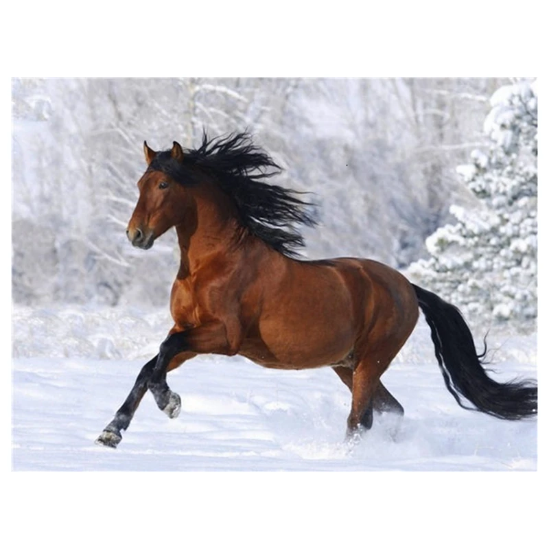 

Diamond Painting Diamond Embroidery Diy Full Round Diamond Animal-Diamond Brown Horse Diamond Painting Drill