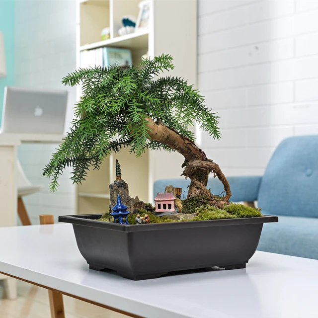 Virágcserepek Utánzat Lila Agyag Zamatos Növények Edények Kültéri Kerti Táj Bonsai Edény Tálcák Téglalap Alakú Négyzet Ültetvény - Image 3