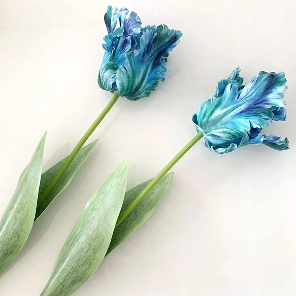 ũ 3D ޹ ƫ, 68cm ΰ ,  ġ ¥  ,  , Ȩ  , ǰ, 1 