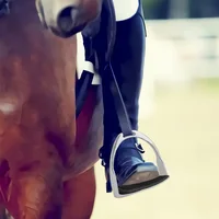 1 Pair Horse Riding Stirrups Equipment Hight Quality Safety Riding Protection Saddle Knee Ankle Stress Pain 2