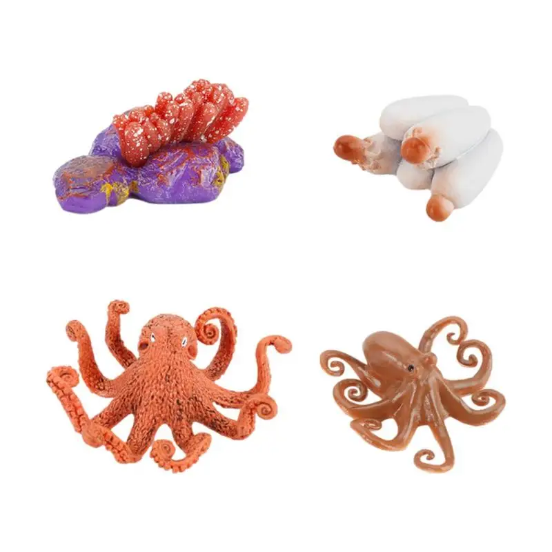 

Фигурки с жизненным циклом, фигурки животных, цикл роста, научные обучающие и обучающие игрушки, учебные пособия, игрушки Монтессори, подарок для девочки