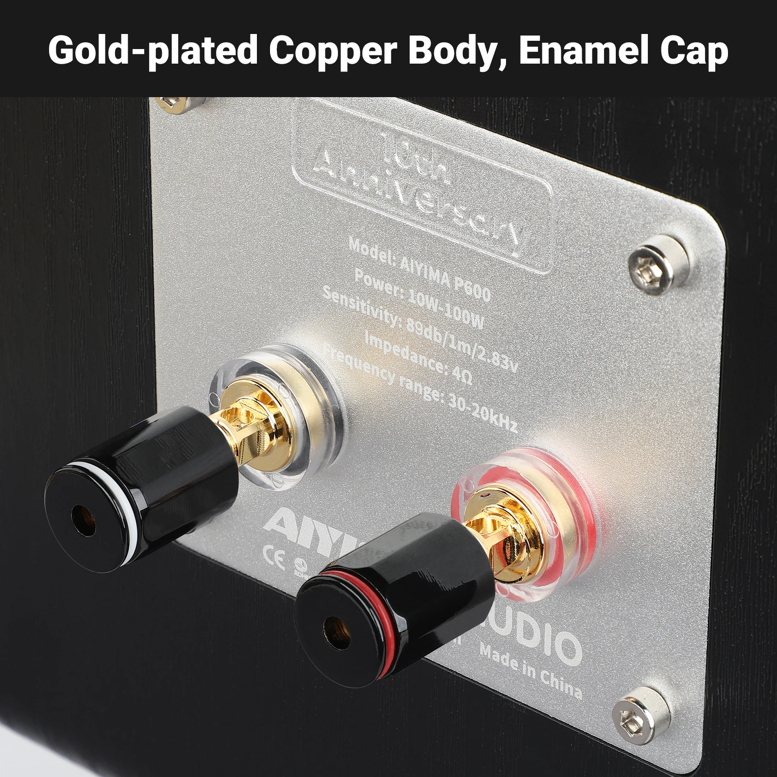 AIYIMA P600 6.5インチ パッシブスピーカー 木製カーボンファイバー