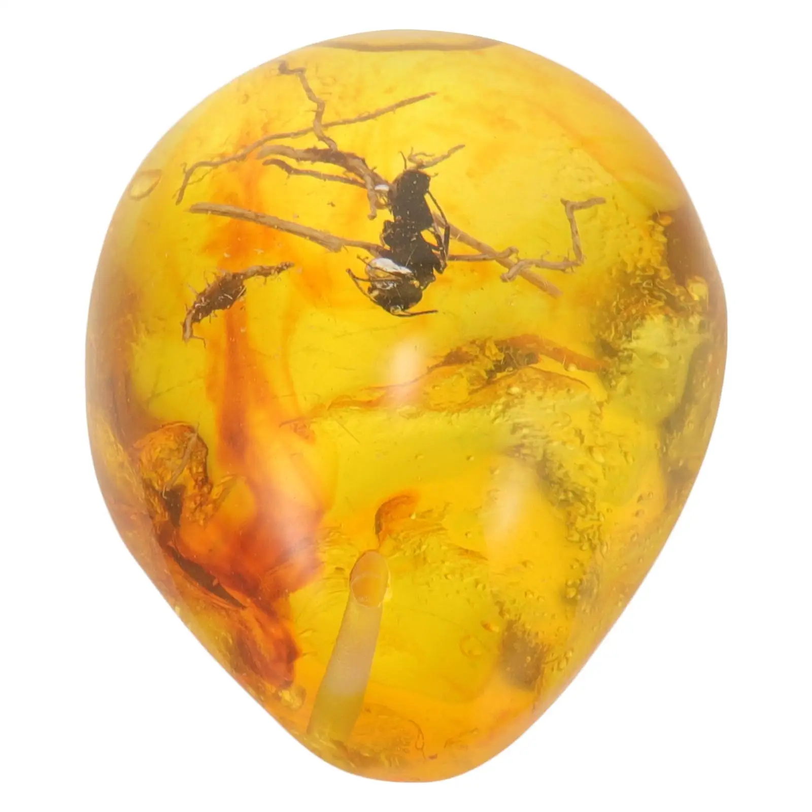 Amber Locket Insect Pendant Ornament Specimen with Decor for DIY Crafts Insects Decoration Stone 2