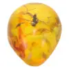 Amber Locket Insect Pendant Ornament Specimen with Decor for DIY Crafts Insects Decoration Stone 2