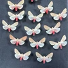 Real Butterfly, Big Silkworm Moth Specimen, Photography, Props, Home Decoration, DIY Handicraft Exhibition Collection Sculpture 5