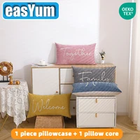 1 Pillowcase And 1 Pillow Core 35x60cm Embroidered Pillow With Hidden Zipper Set 1