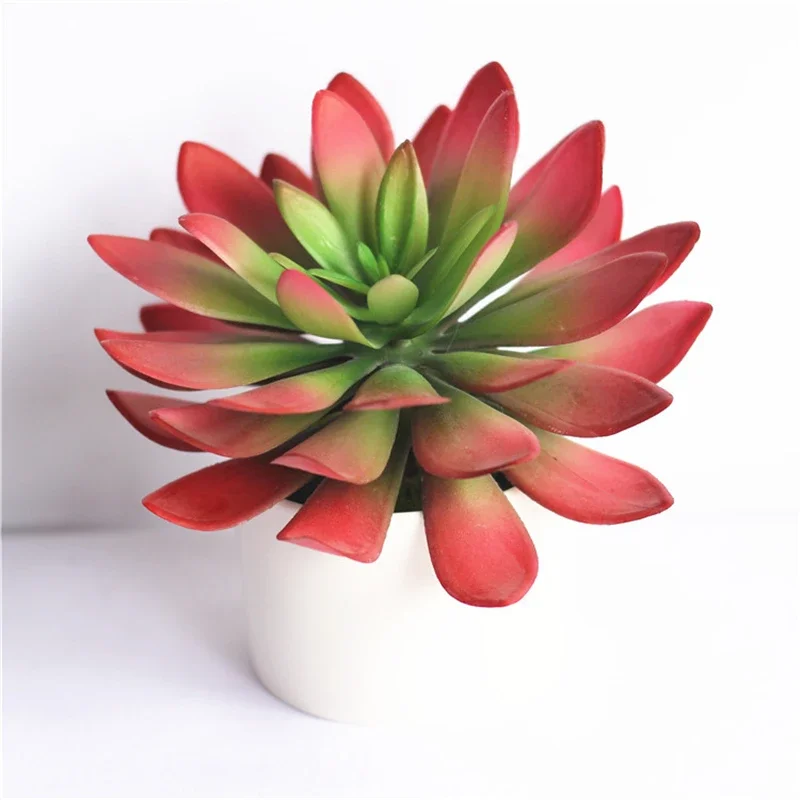 Pianta Succulenta Simulata Alocasia, Herba Monachosori Henryi Bonsai Ornamentali Senza Vaso Di Fiori