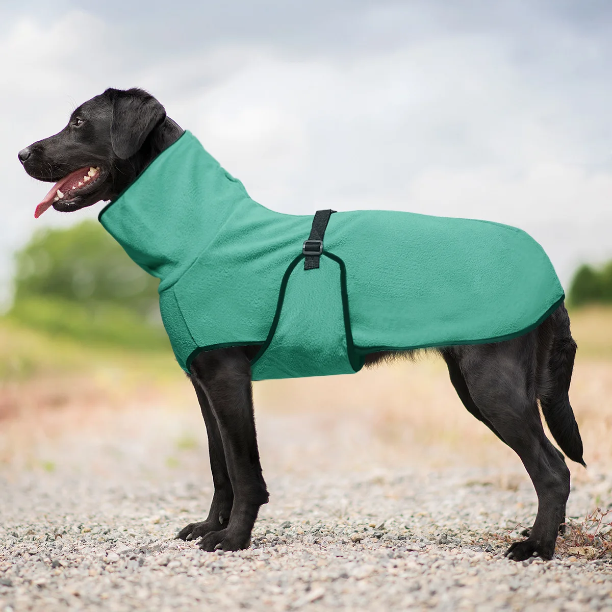 Clothes For Large Dogs Winter Warm 3