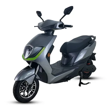 1000W High-Speed Electric Bicycle Motorcycle 1