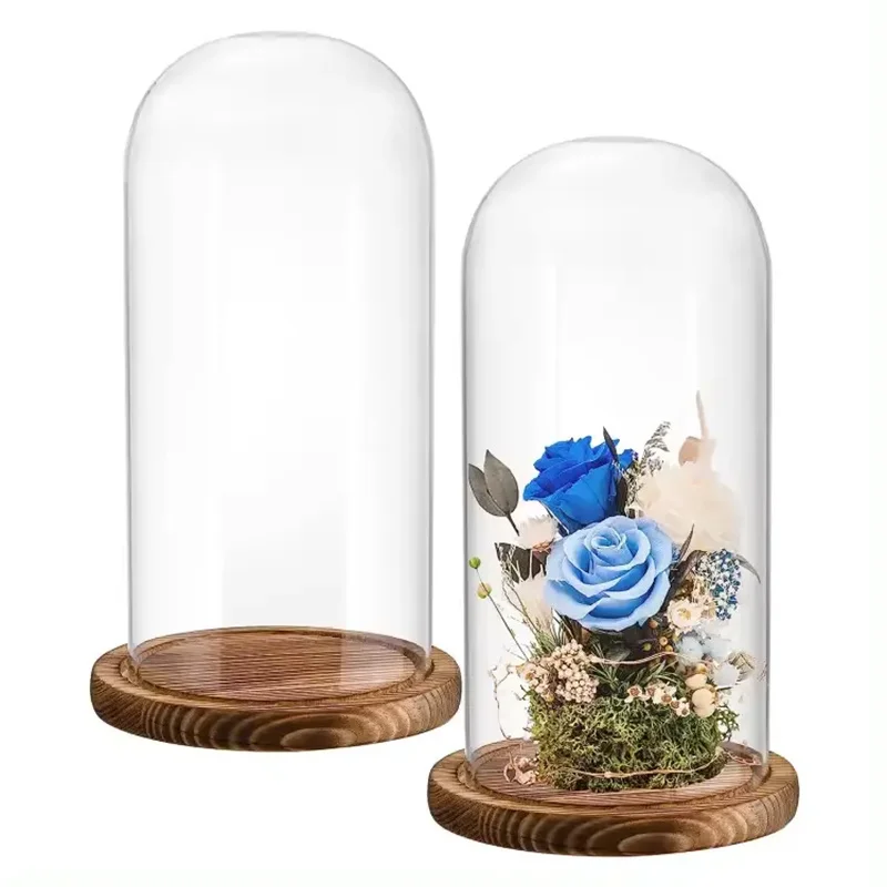 Dia 20cm Free Clear Handcrafted Glass Dome with Brown Wood Stand Home Decor Clear Oval Glass Domes with Base 2
