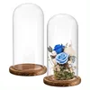 Dia 20cm Free Clear Handcrafted Glass Dome with Brown Wood Stand Home Decor Clear Oval Glass Domes with Base 2
