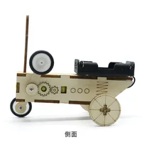 DIY Reptile Robot Electric Wooden Science Experiments Toys for Children Educational Handmade Assemble Toys Boys Girls 3