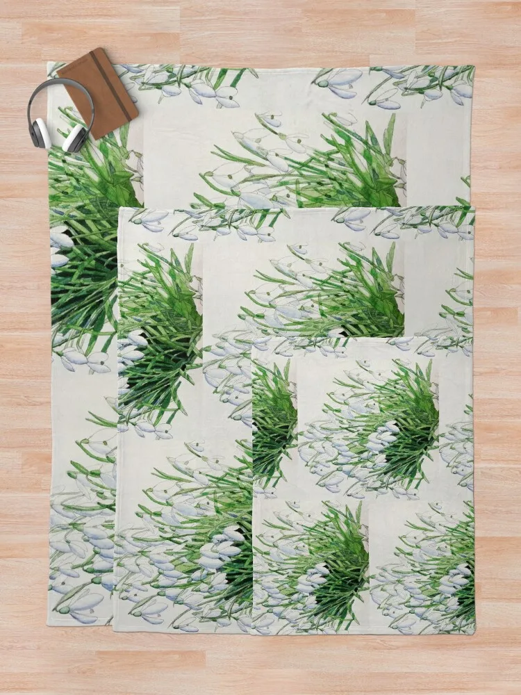 ����� ��� ��äȭ �׸� ������ ���, ķ�� �ε巯�� ū ���