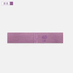 Anti - Slip Elastic Booty Bands for Fitness and Yoga Workouts (PURPLE)