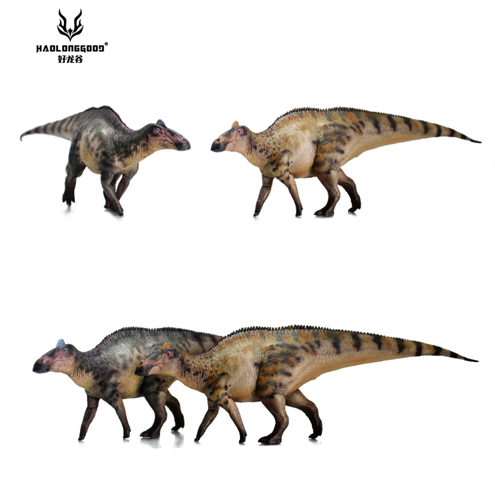 ♯Jhg07St大恐竜ギャラリーVOL.1全5種 Amazon.co.jp: HAOLONGGOOD ディアブロケラトプス 1:35 科学と