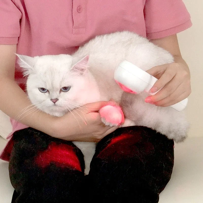 

Portable Red Light Therapy Device With Display 808nm 650nm For Pets Wound Healing Physiotherapy