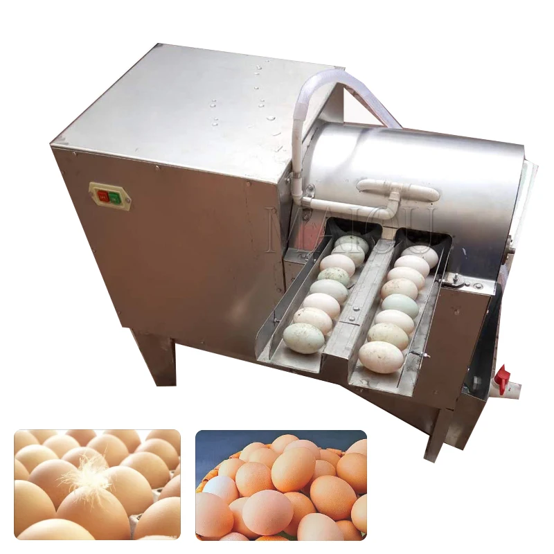 

Double Row Commercial Automatic Egg Cleaning Machine Small Egg Cleaning Machine Chicken Duck Goose Egg Cleaning Machine