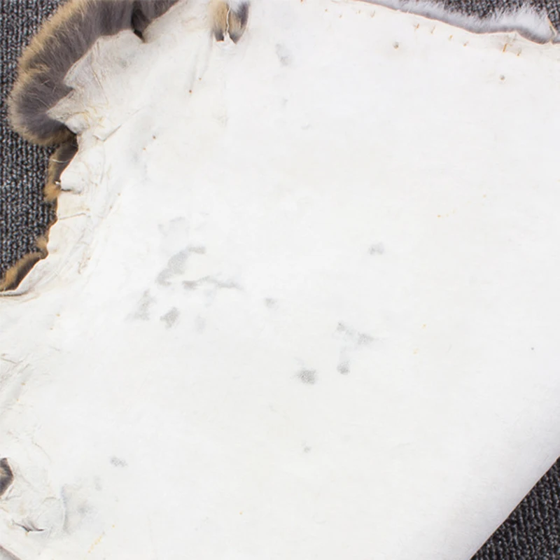 Slide image 2bade35d64e840dd8a6559b1442d4c29