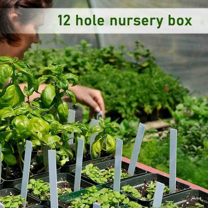 Pflanztablett mit 12 Löchern, Pflanzentablett-Box, quadratischer Kunststofftopf für Sukkulenten, Mini-Gewächshaus, Blumenpflanztablett, Topfbehälter_voghion.com