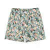 Funny Fruit Banana 3d Print Beach Shorts Men Plant Flamingo Graphic Short Pants Women Kid Outdoor Sports Surf Board Swim Trunks 4