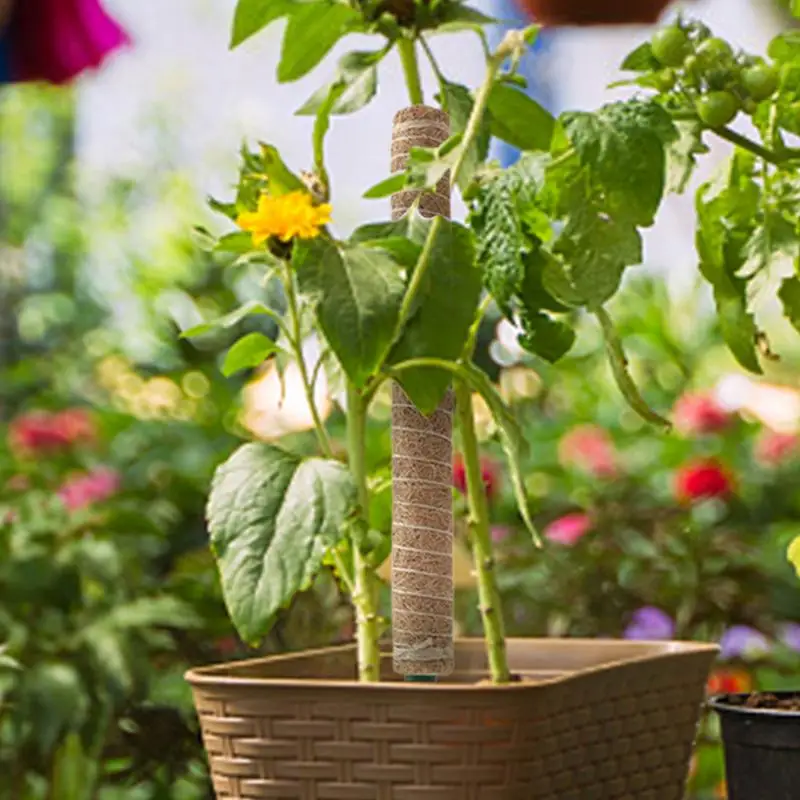 Monstera Pole Coir Totem Plant Climbing Pole Monstera Stake Sturdy Structure Gardening Cocoanut Stick Indoor Trellis for Pothos