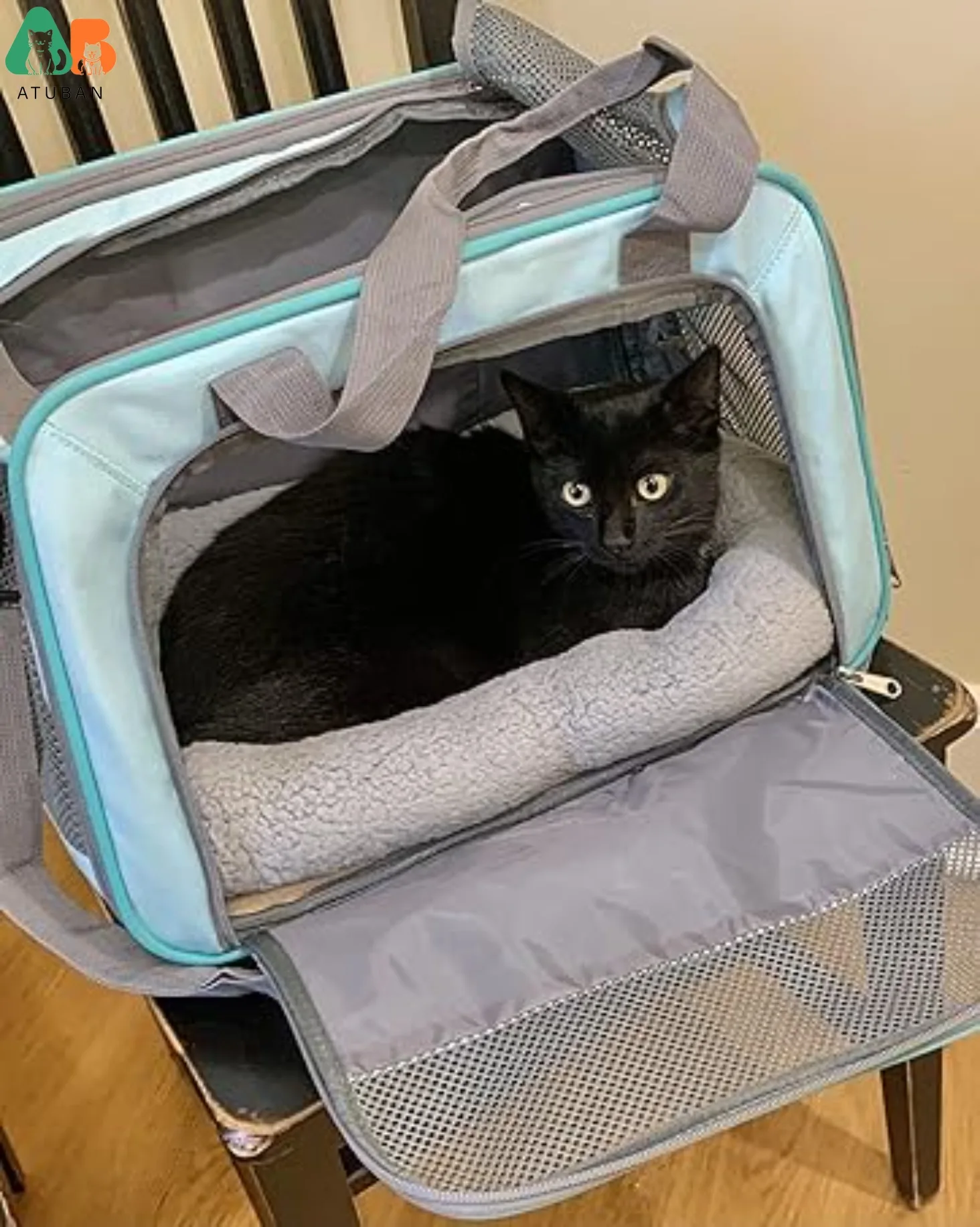 cat bed