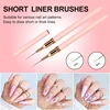 5 Pieces Set Liner Brush for Nail Art Painting,Fine Liner Brushes for Nails,Liner Nail Brush Set for Acrylic 4