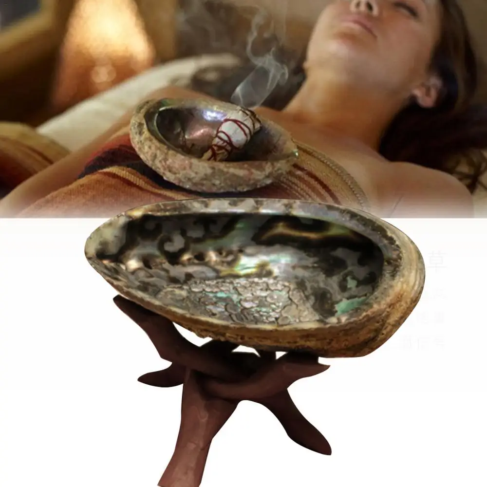 Natural Abalone Shell with Wooden Tripod Stand For Sage Smudging