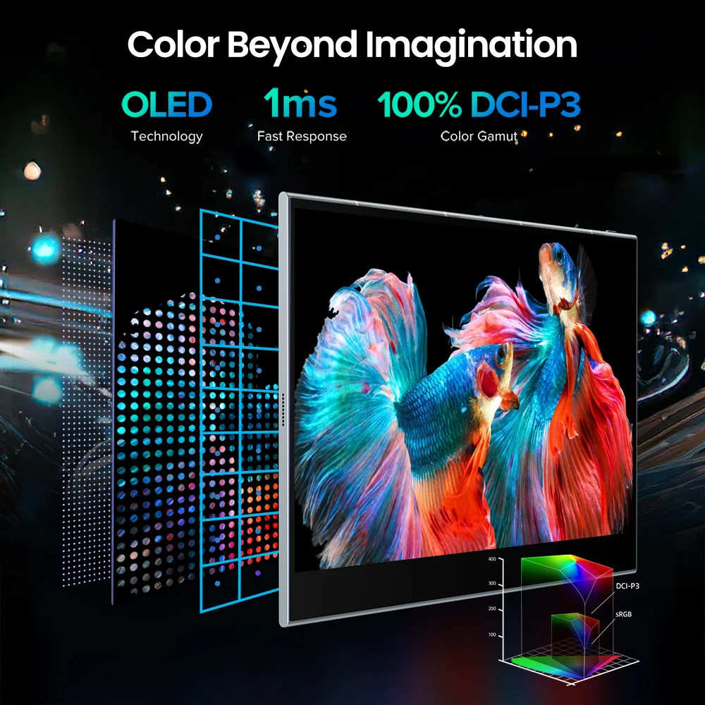 Рисунок 5 - Портативный монитор Cdisplay 15