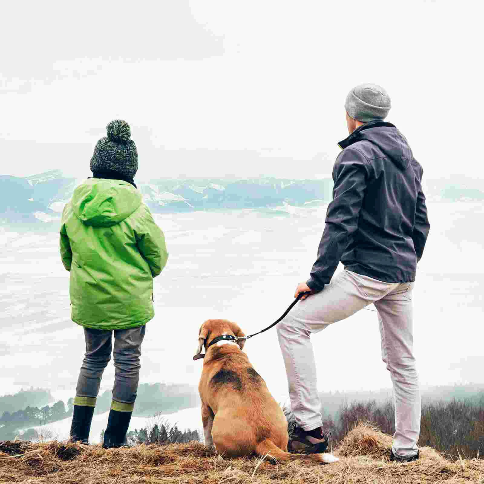 Walk Pet Elastic Rope Dog Walking Extension Leash Puppy Medium Indestructible Toys pet leash set,dog traction rope