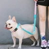 Heavy Duty Dog Leash Shock Absorbing Dog Leashes with Traffic Handle and Comfortable Padded Handles, Advanced Easy Metal Clip
