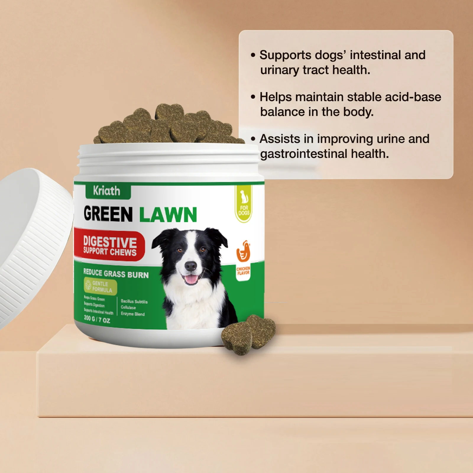 Natural Dog Digestive Support Probiotic Chews Chicken Flavored Supplement for Constipation Relief Puppy Stomach Care 200g