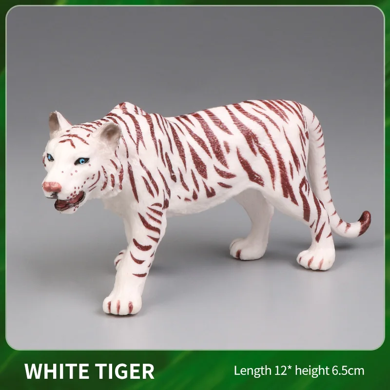 Animal-7
