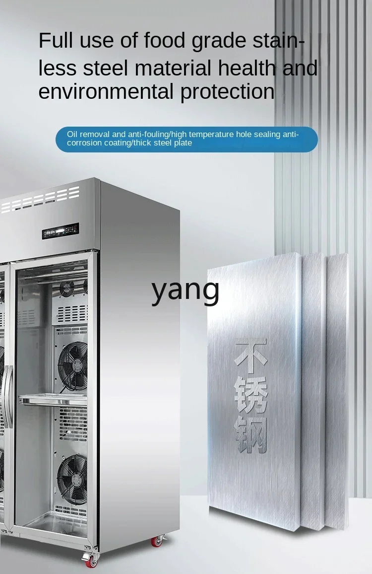 L'm'm Dryer Defrosting Roast Duck Air-Drying Fresh-Keeping Dehumidification Embryo Drying Cabinet