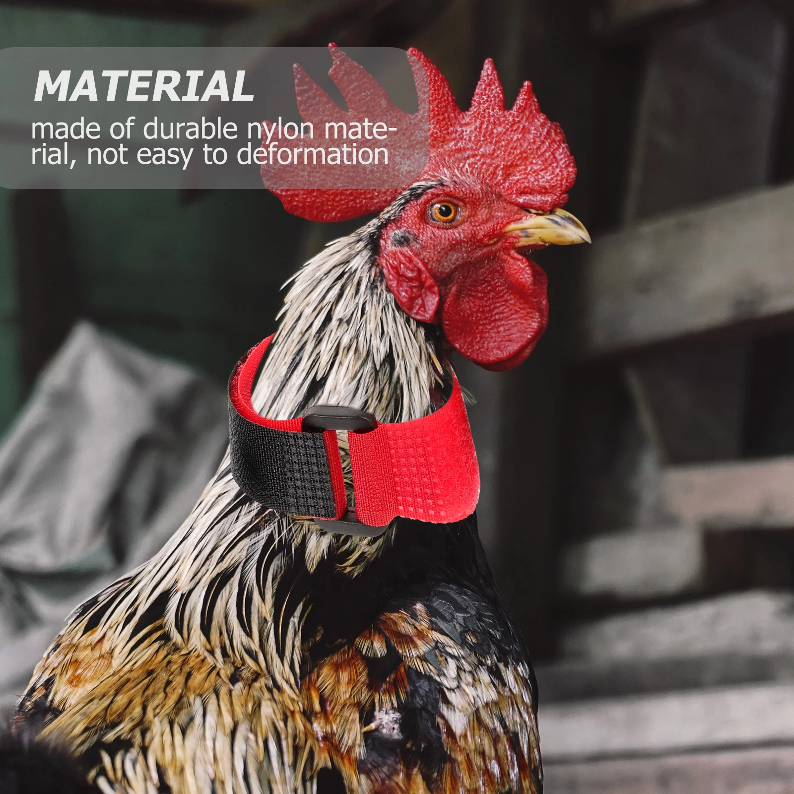 8Pcs Anti Crowing Collars Rooster Noise Free Neckbands Adjustable Poultry Collars Soft Nylon Pet Products Farm Animal Carriers