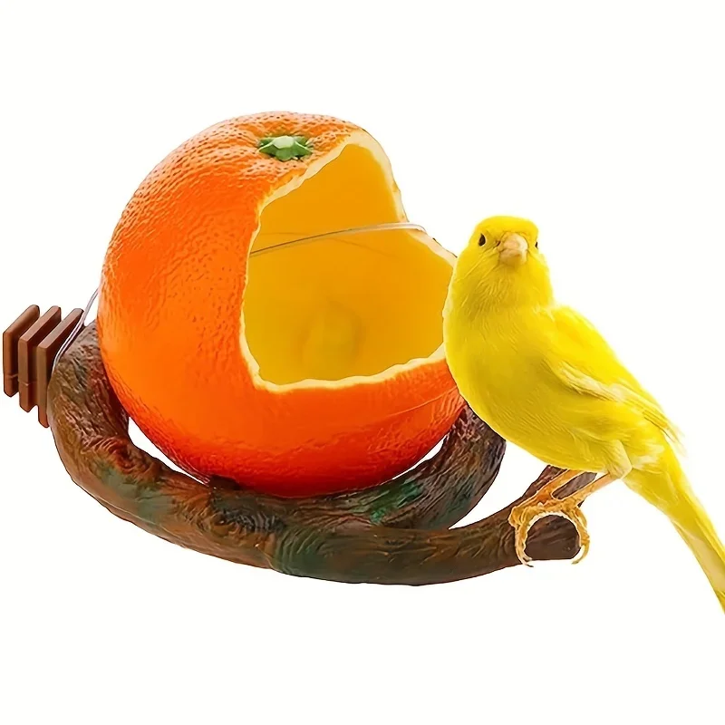Cutey Bird Parrot Feeder Funny Orange Fruit Shape Food Water Feeding Bowl Container Feeders For Crates Cages Coop Pet Supplies