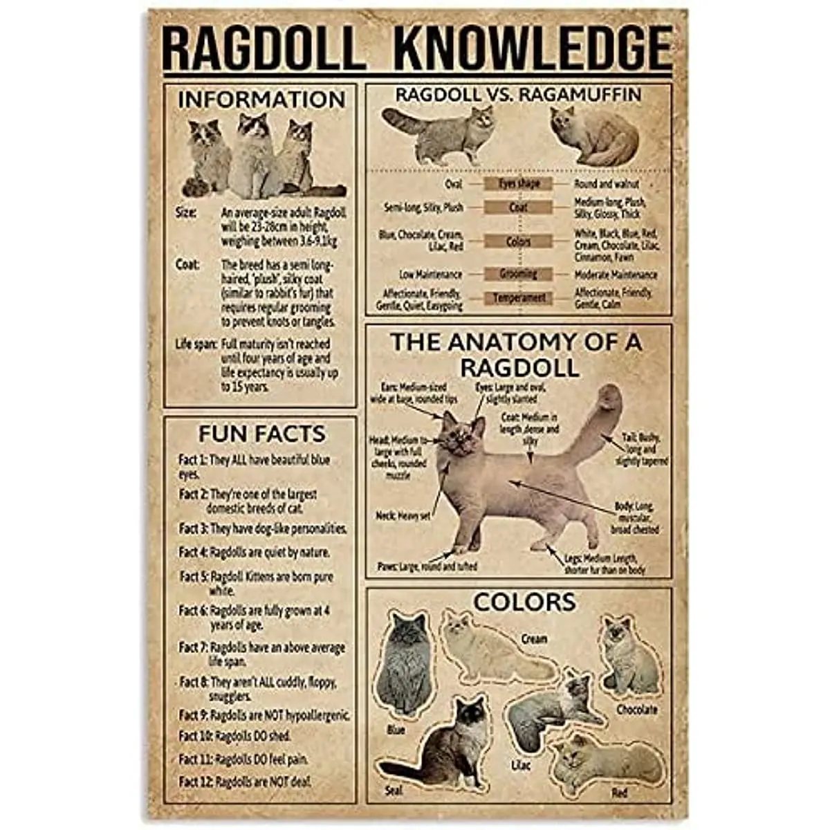 

Funny Metal Sign Ragdoll Cat Knowledge Cat Bathroom Bedroom Cafe Wall Decoration Man Cave Best Gift for Father's