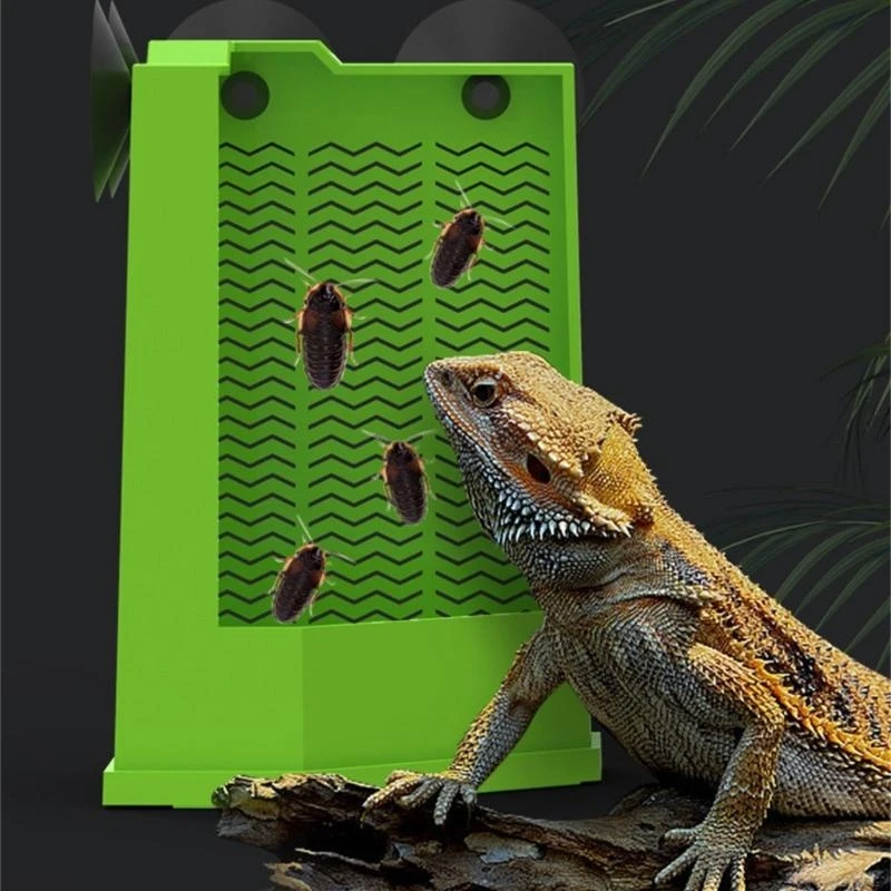 Reptiles Corner Feeder Feeding Dish Easy to Install Suction Cup Mounted Corner Feeder Box For Lizards And Amphibians Y5GB Reptiles Corner Feeder Feeding Dish Easy to Install Suction Cup Mounted Corner Feeder Box For Lizards And Amphibians Y5GB