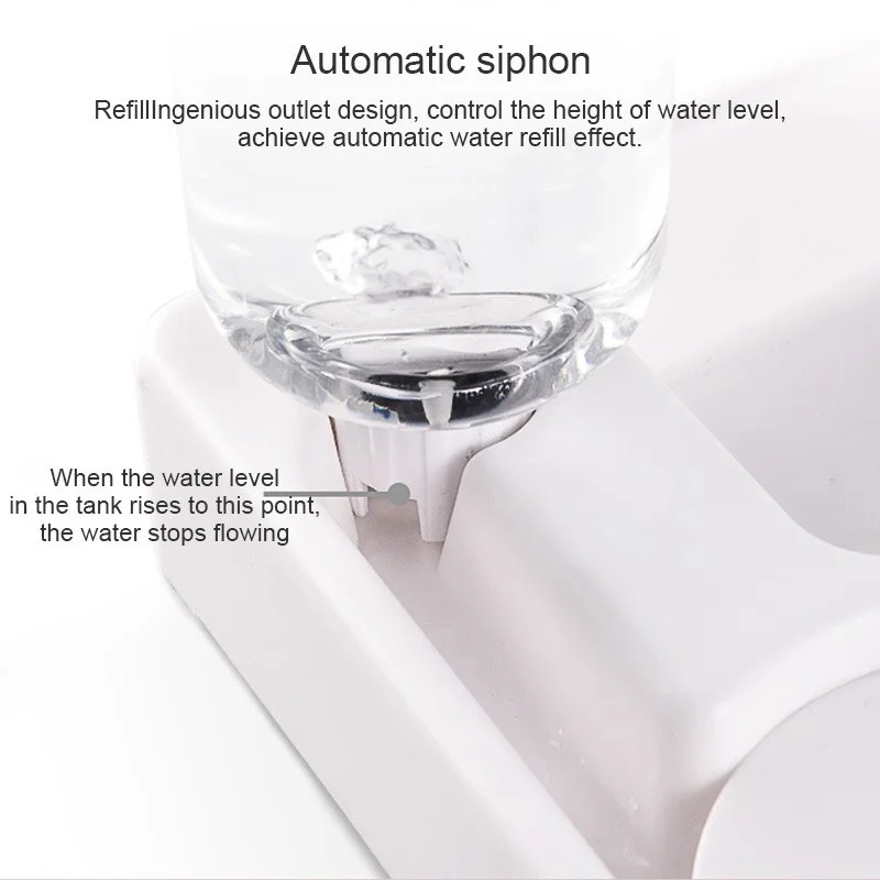 grande capacidade, Canto Dog Bowl, Cat Water Drinking Dispenser