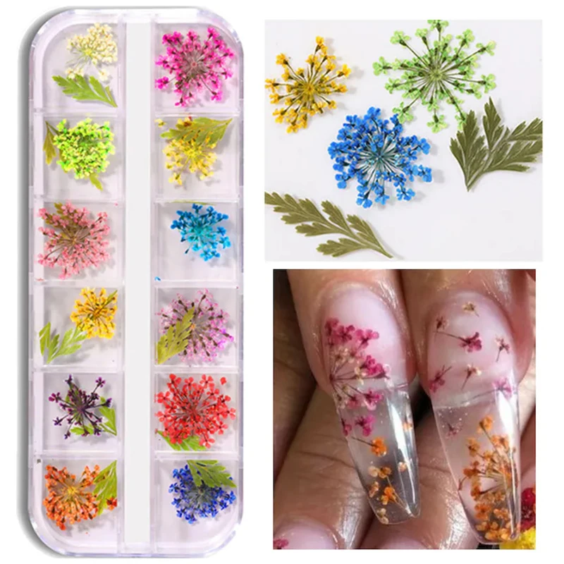 Dried Flowers Nail Art DIY Real Dried Flowers for Nail Decoration Art Craft  Making Jewellery Simulation Decoration Holiday - AliExpress