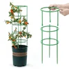Plant Support Pile Garden Semicircle Flower Stand Cage Plant Grow Fixing Rod Vine Climbing Bracket Stake Holder Bonsai Tool New