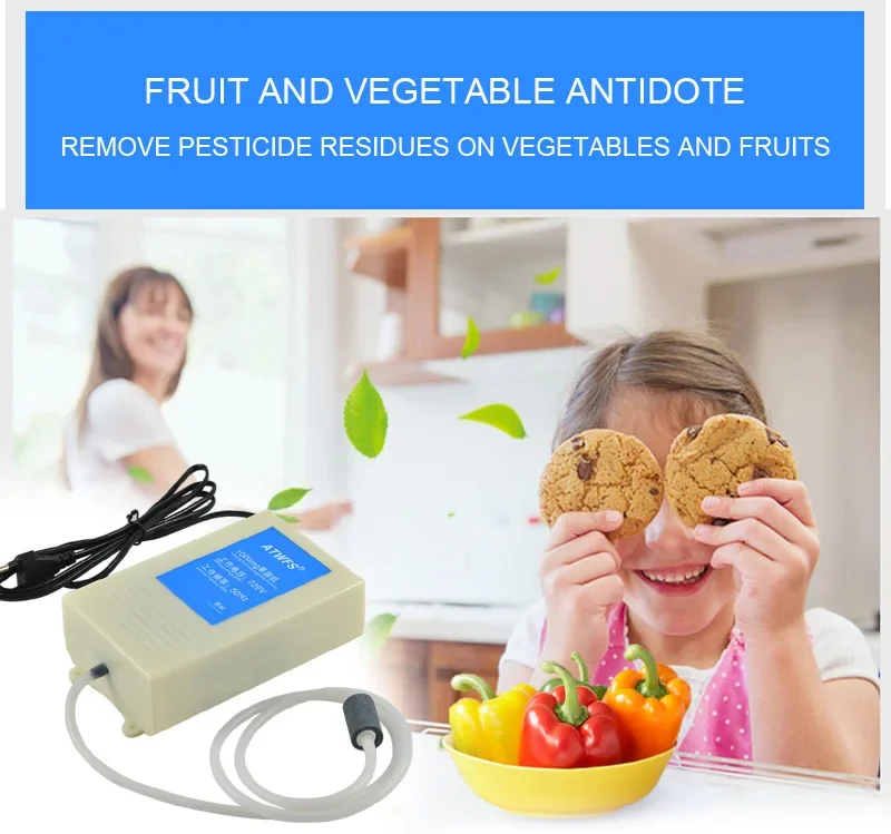 Description Picture 3 of item1000mg Portable Ozone Generator 220v Air Purifier Water Ozonizer Aquarium Ozonator EU plug