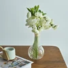 Transparent Vase Modern Home Decor Vase Decoration Home Wedding Clear Glass Vase Nordic Vases Set Hydroponic Vase 5